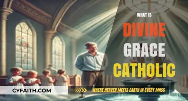 Understanding Divine Grace in the Catholic Faith: A Comprehensive Guide