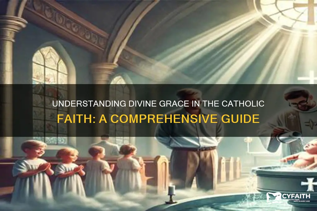 what is divine grace catholic