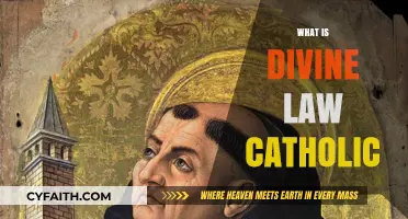 Understanding Divine Law in Catholic Tradition: Faith, Morality, and Eternity