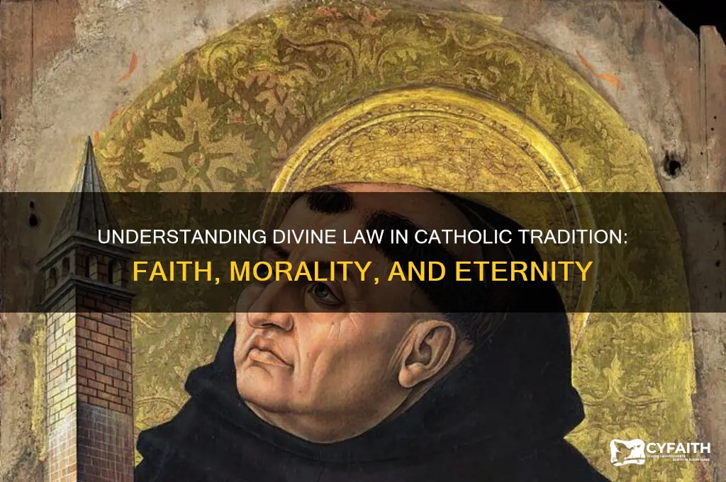 what is divine law catholic