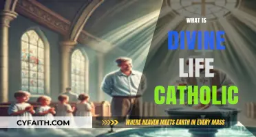 Understanding Divine Life Catholic: Faith, Community, and Spiritual Growth Explained
