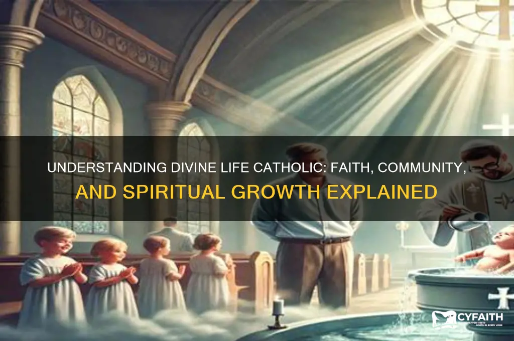 what is divine life catholic