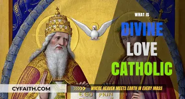 Understanding Divine Love in Catholic Teachings: A Spiritual Journey