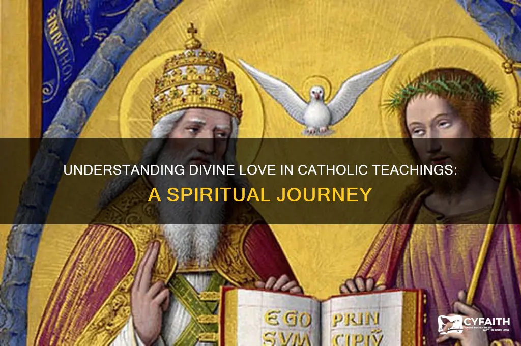 what is divine love catholic
