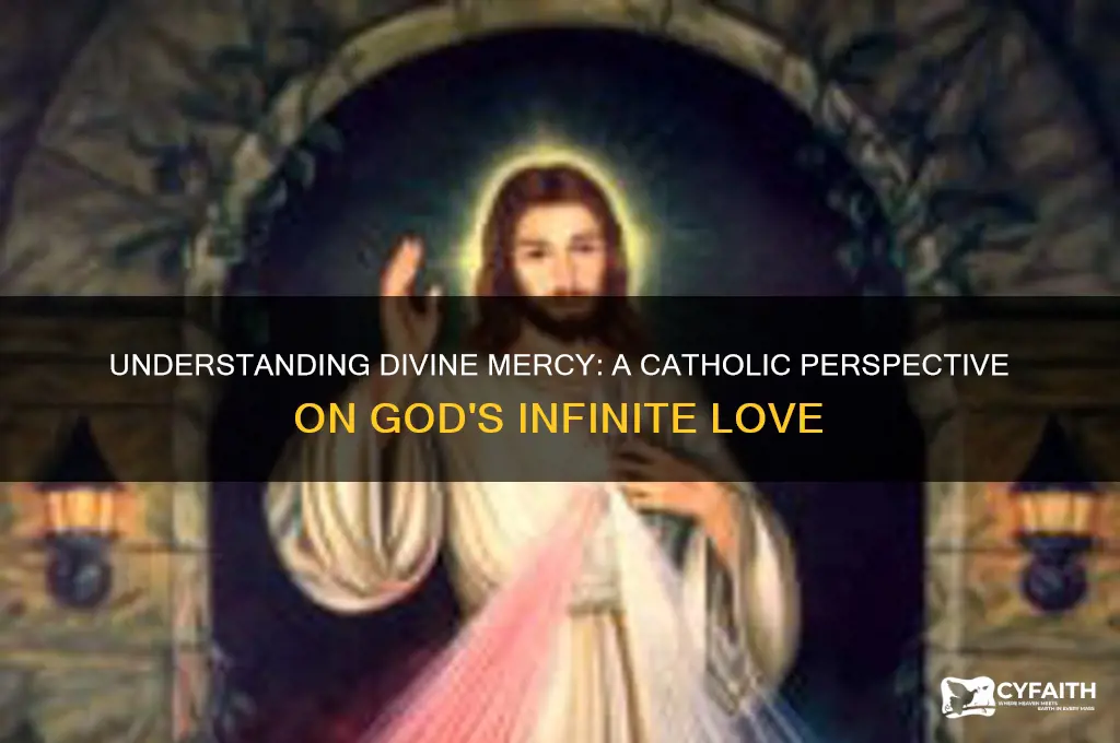what is divine mercy catholic