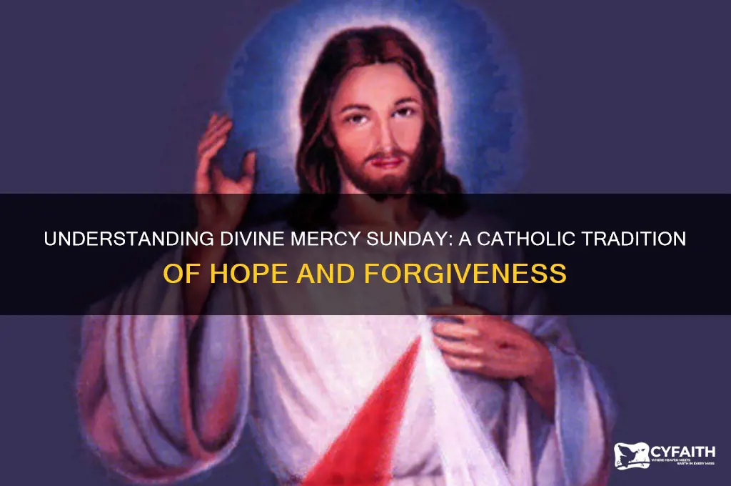 what is divine mercy sunday catholic
