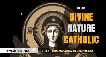 Understanding Divine Nature in Catholic Theology: A Comprehensive Guide