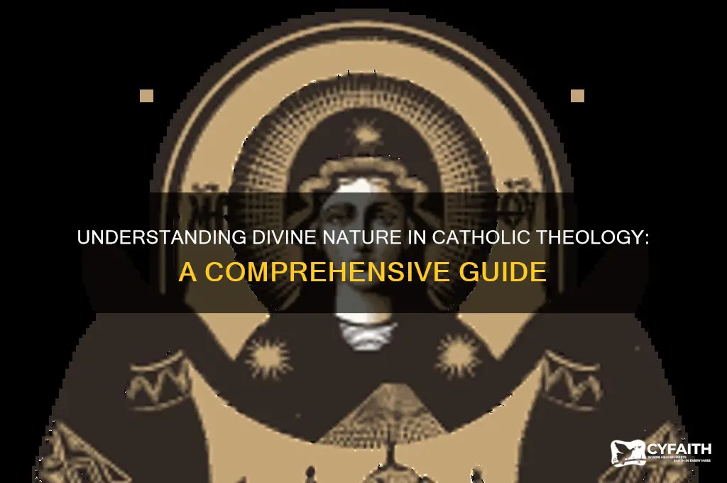 what is divine nature catholic