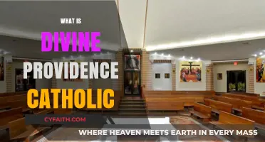 Understanding Divine Providence in Catholic Faith: A Comprehensive Guide