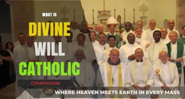 Understanding Divine Will in Catholic Faith: A Spiritual Guide