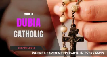 Understanding Dubia Catholic: A Comprehensive Guide to Its Meaning and Significance