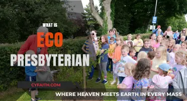 Understanding Eco Presbyterian: Faith, Ecology, and Stewardship Explained