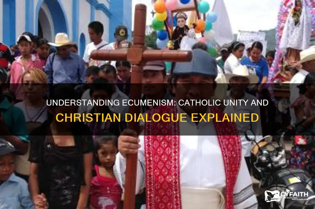 what is ecumenism catholic