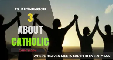 Understanding Ephesians Chapter 3: Catholic Insights on Unity and Grace