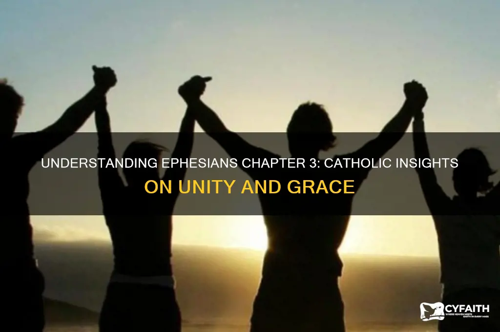 what is ephesians chapter 3 about catholic