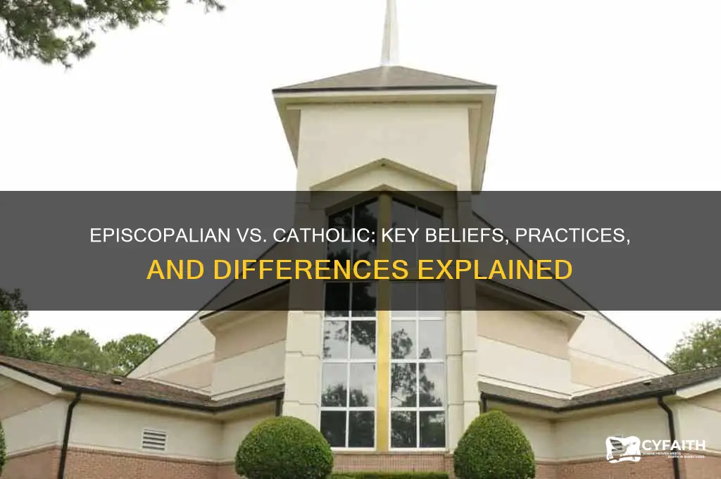 what is episcopalian beliefs vs catholic