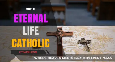 Understanding Eternal Life: A Catholic Perspective on Heaven and Salvation