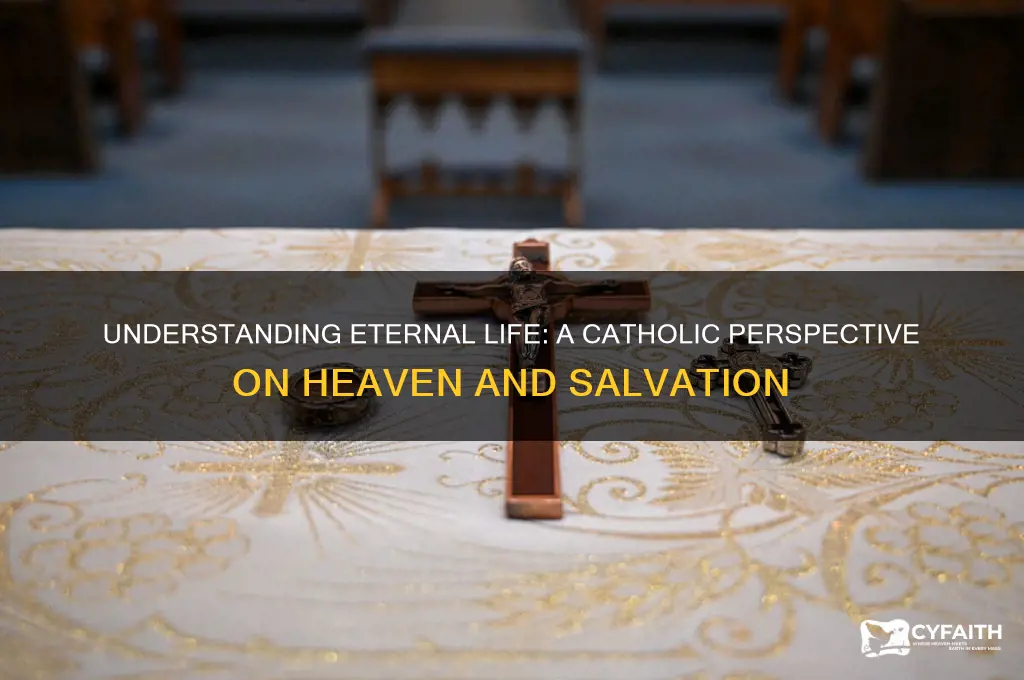 what is eternal life catholic