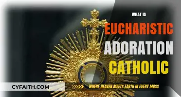 Understanding Eucharistic Adoration: A Catholic Devotion Explained