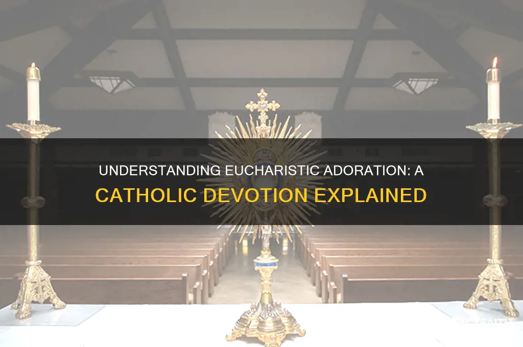 what is eucharistic adoration catholic