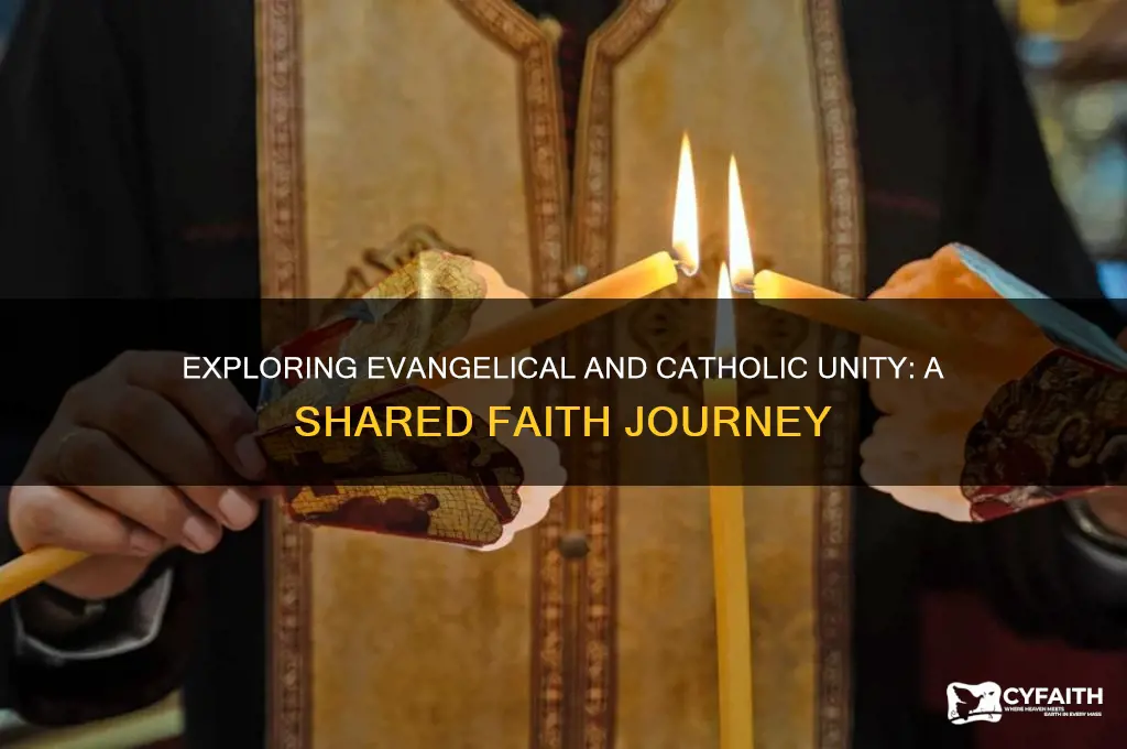 what is evangelical and catholic together