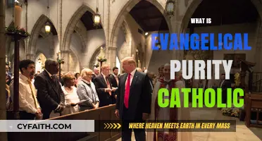 Understanding Evangelical Purity in Catholic Tradition: A Comprehensive Exploration
