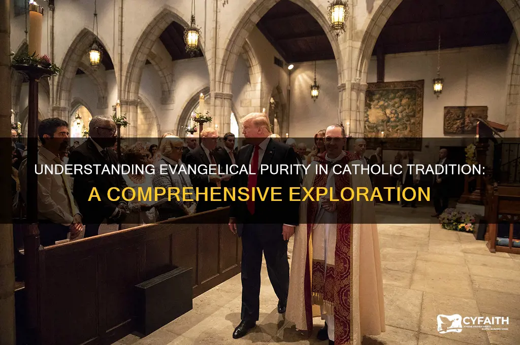 what is evangelical purity catholic