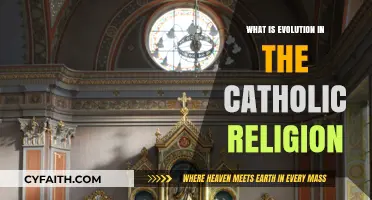 Understanding Evolution Within Catholic Theology: Faith, Science, and Doctrine Explained