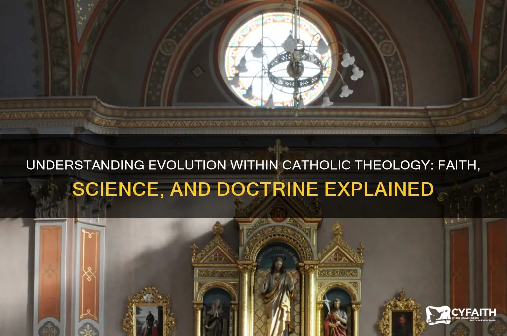 what is evolution in the catholic religion