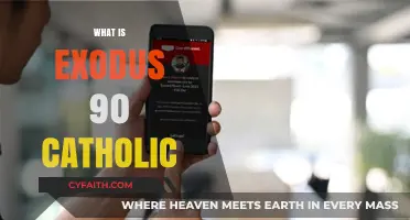 Understanding Exodus 90: A Catholic Men's Spiritual Journey Explained