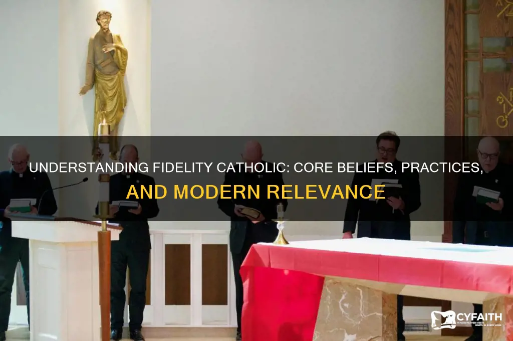 what is fidelity catholic