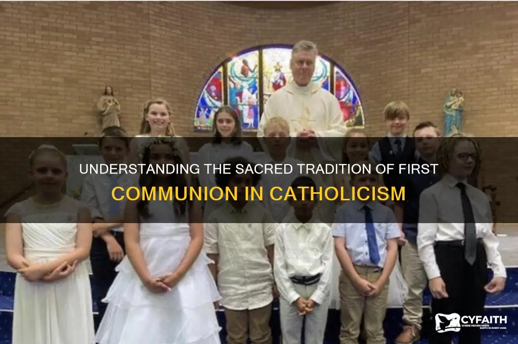what is first communion catholic