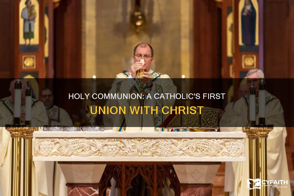 what is first holy communion catholic