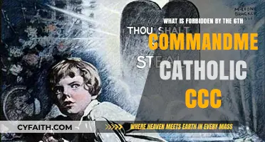 Catholic Catechism: Understanding the 6th Commandment's Forbidden Acts