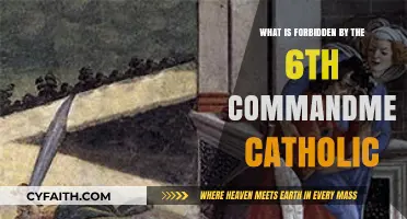 Catholic 6th Commandment: Understanding Forbidden Acts and Moral Boundaries