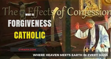 Understanding Catholic Forgiveness: A Path to Healing and Grace