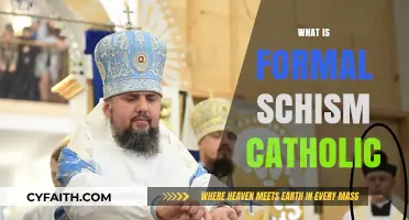 Understanding Formal Schism in the Catholic Church: Causes and Implications