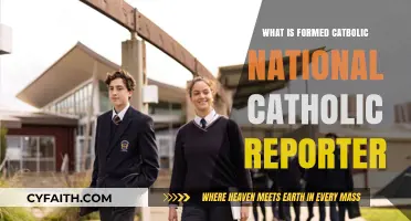 Understanding the Formed Catabolic National Catholic Reporter's Role and Impact