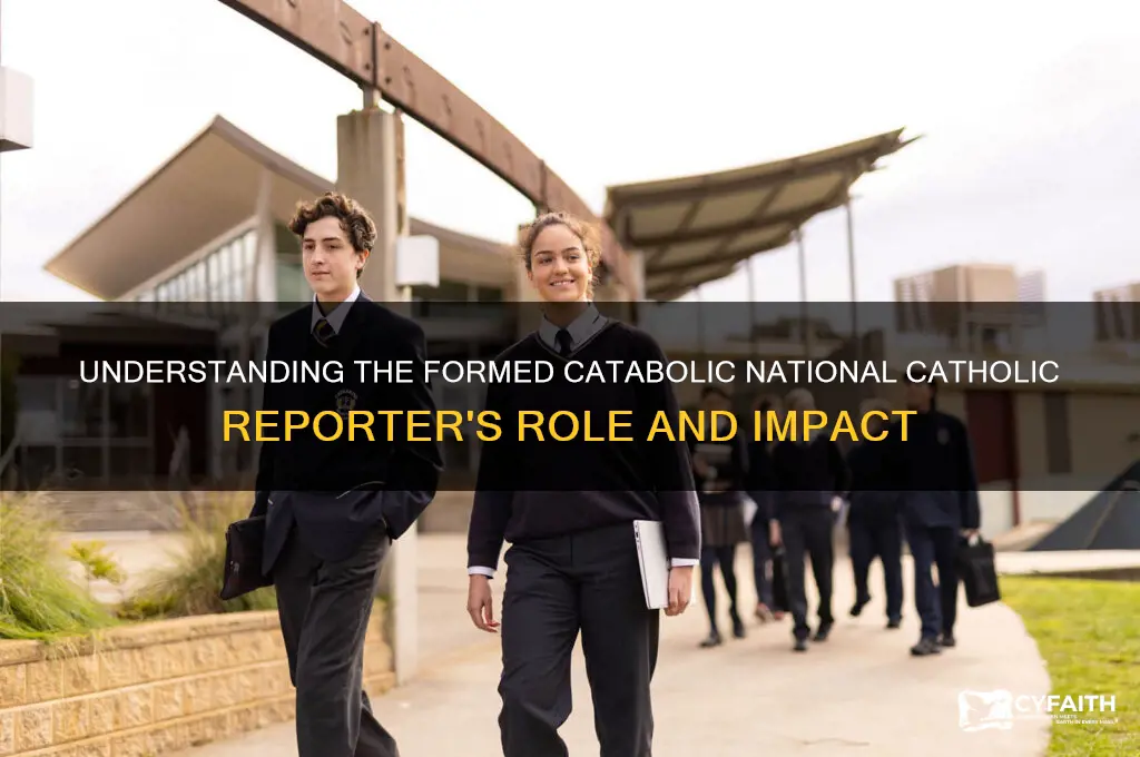 what is formed catbolic national catholic reporter