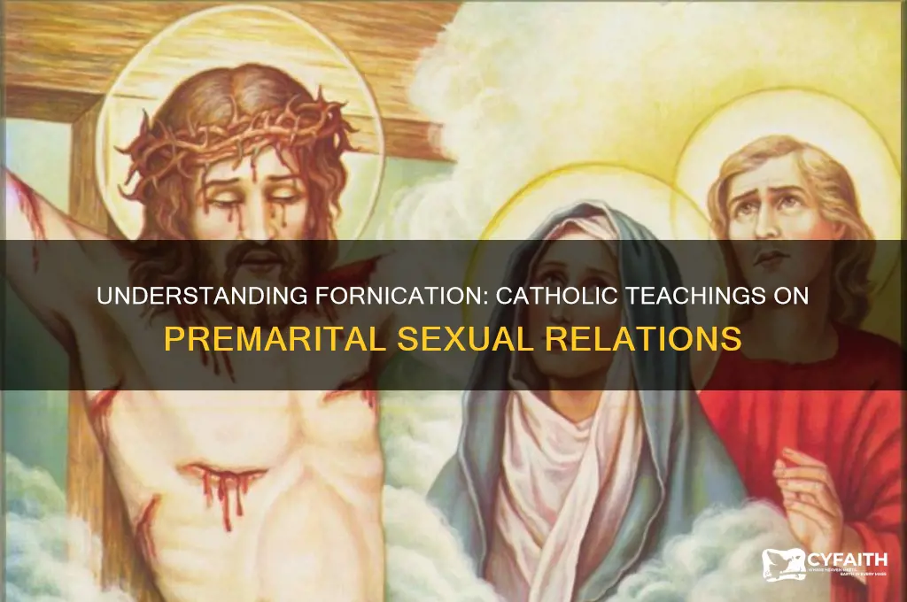 what is fornication catholic