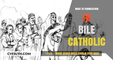 Understanding Fornication in Catholic Teachings: A Biblical Perspective