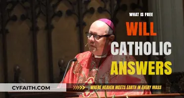 Understanding Free Will: A Catholic Perspective on Human Choice and Grace