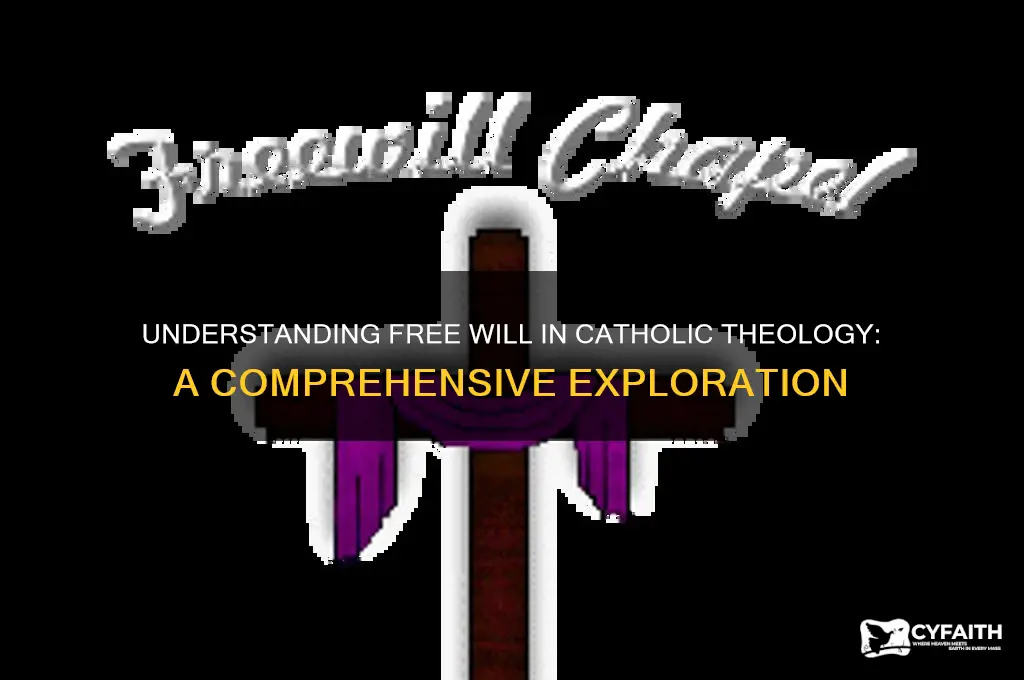 what is free will catholic