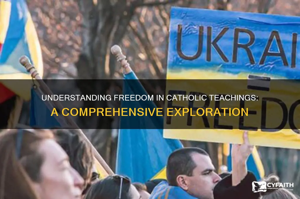 what is freedom catholic