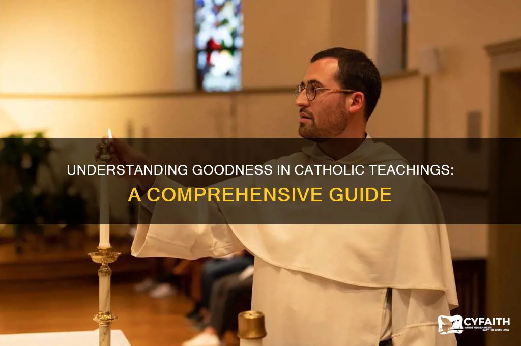 what is goodness catholic