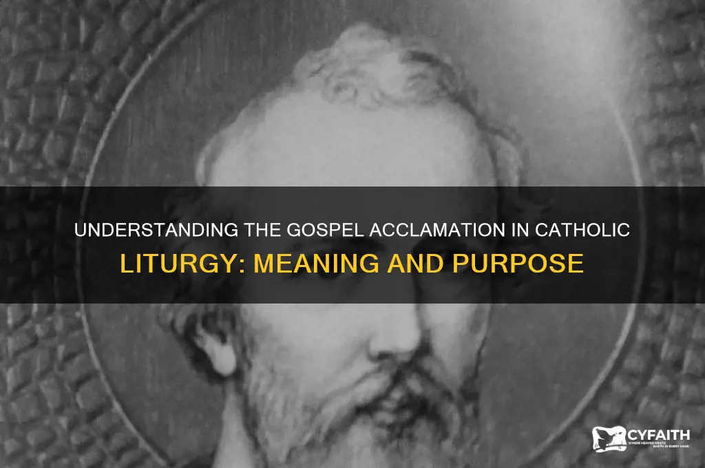 what is gospel acclamation catholic