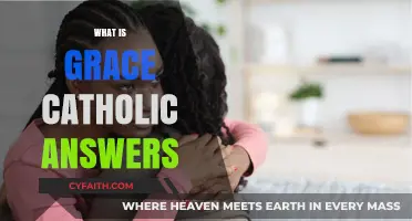 Understanding Grace: Catholic Insights on Divine Mercy and Salvation