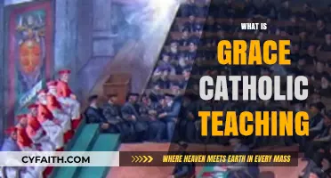 Understanding Grace: Core Principles of Catholic Teaching Explained
