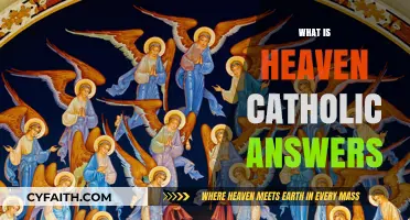 Understanding Heaven: Catholic Teachings and Answers to Common Questions