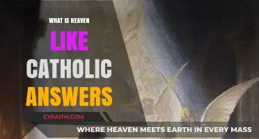 Exploring the Catholic Vision of Heaven: What Awaits Us Beyond Earth?